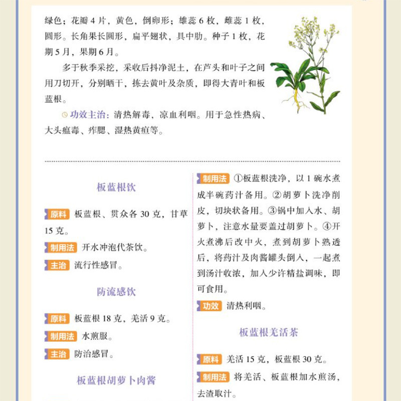 Single Herb TCM Nourishment Qu - Herbal Wellness Tonic 评论和价格